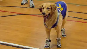 Задник к фильму "Король воздуха" #626784