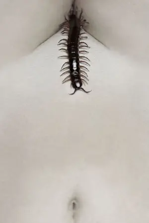 Постер к фильму "Человеческая многоножка 2 (Полное построение)" #320735