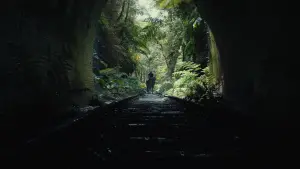 Задник к фильму "Планета обезьян: Новое царство" #315158