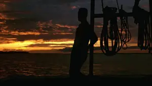 Задник к фильму "Форрест Гамп" #528565