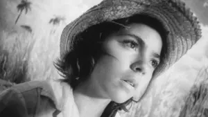 Задник к фильму "Я – Куба" #416994