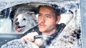 Задник к фильму "Дневник Ноэль" #292226