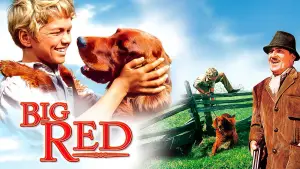 Задник к фильму "" #743543