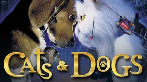 Кошки против собак