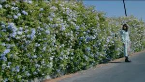 Задник к фильму "" #490789