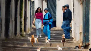 Задник к фильму "Лапочка" #491277