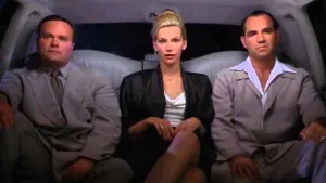 Задник к фильму "Девять ярдов" #454916