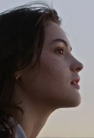 Постер к фильму "3391 километр" #761120