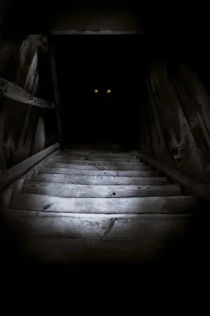 Постер к фильму "Бугимен" #282614