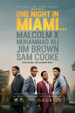 Постер к фильму "Одна ночь в Майами" #146672
