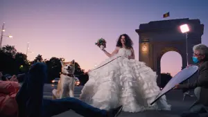 Задник к фильму "Безумное кино для взрослых" #378867