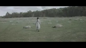 Задник к фильму "Колдовство" #475585