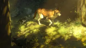 Задник к фильму "Белый клык" #341501