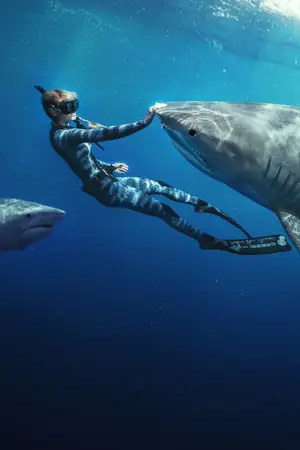 Постер к фильму "ЗАКЛИНАТЕЛЬНИЦА АКУЛ" #793240