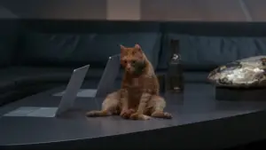 Задник к фильму "Капитан Марвел 2" #605017