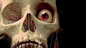 Задник к фильму "Байки из склепа" #362893