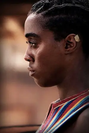 Постер к фильму "Королева-воин" #201437