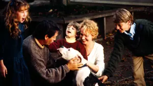 Задник к фильму "Дорога домой: Невероятное путешествие" #251049