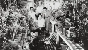 Задник к фильму "Вторжение похитителей тел" #213549