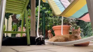 Задник к фильму "" #199922