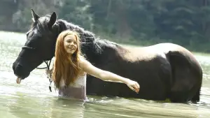 Задник к фильму "Восточный ветер" #673033