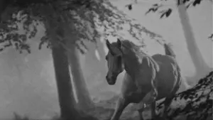 Задник к фильму "Бегущий по лезвию" #563423