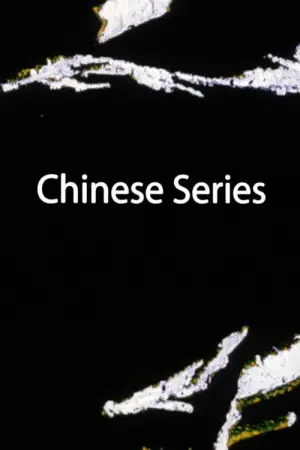 Постер к фильму "Chinese Series"