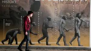 Задник к фильму "Тепло наших тел" #690365