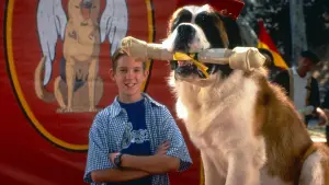 Задник к фильму "Бетховен 4" #490254