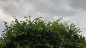 Задник к фильму "" #200745