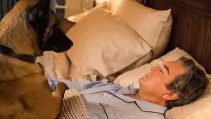 Задник к фильму "Ясновидец 2: Ласси возвращается домой" #438624