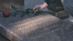 Задник к фильму "Вместе" #470028