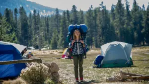 Задник к фильму "Дикая" #245802