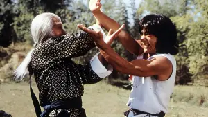 Задник к фильму "Бесстрашная гиена" #382329