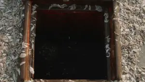 Задник к фильму "Плавучесть" #649144