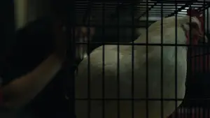 Задник к фильму "Социальная сеть" #588890