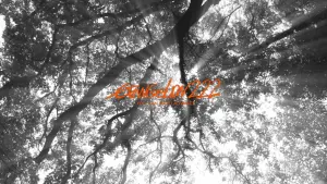 Задник к фильму "Евангелион 2.22: Ты (не) пройдёшь" #186517