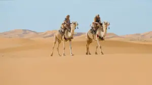 Задник к фильму "" #724764