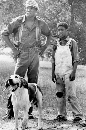 Постер к фильму "Саундер" #495767