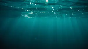 Задник к фильму "At Sea" #786894