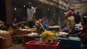 Задник к фильму "777 Чарли" #418967