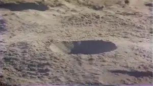 Задник к фильму "Кровавый пляж" #462587