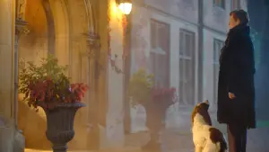 Задник к фильму "Вечная дочь" #379800