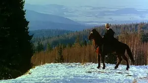 Задник к фильму "Ведьмак" #494899