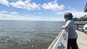 Задник к фильму "" #503544