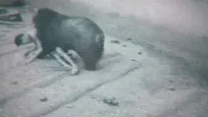 Задник к фильму "" #599395