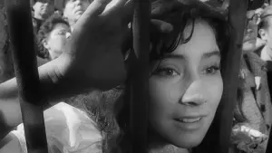 Задник к фильму "Летят журавли" #181573