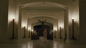 Задник к фильму "Чёрный лебедь" #595733