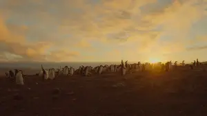 Задник к фильму "Земля: Один потрясающий день" #382401