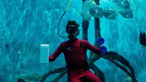 Задник к фильму "Mermaid" #767197